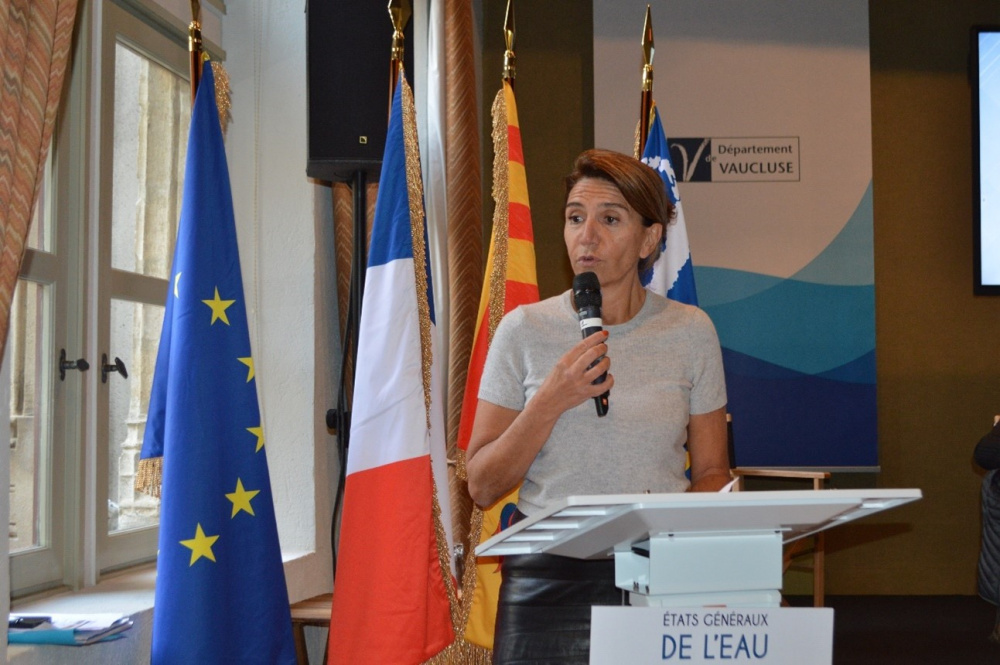 Dominique Santoni, Présidente du Département de Vaucluse