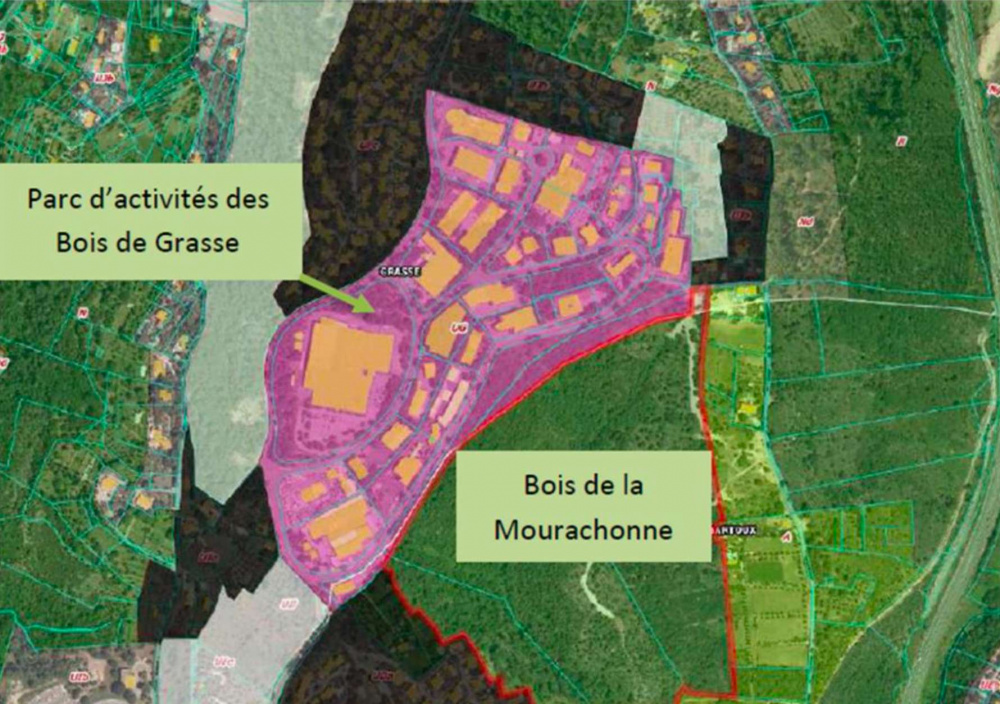 Plan Bois de Grasse
