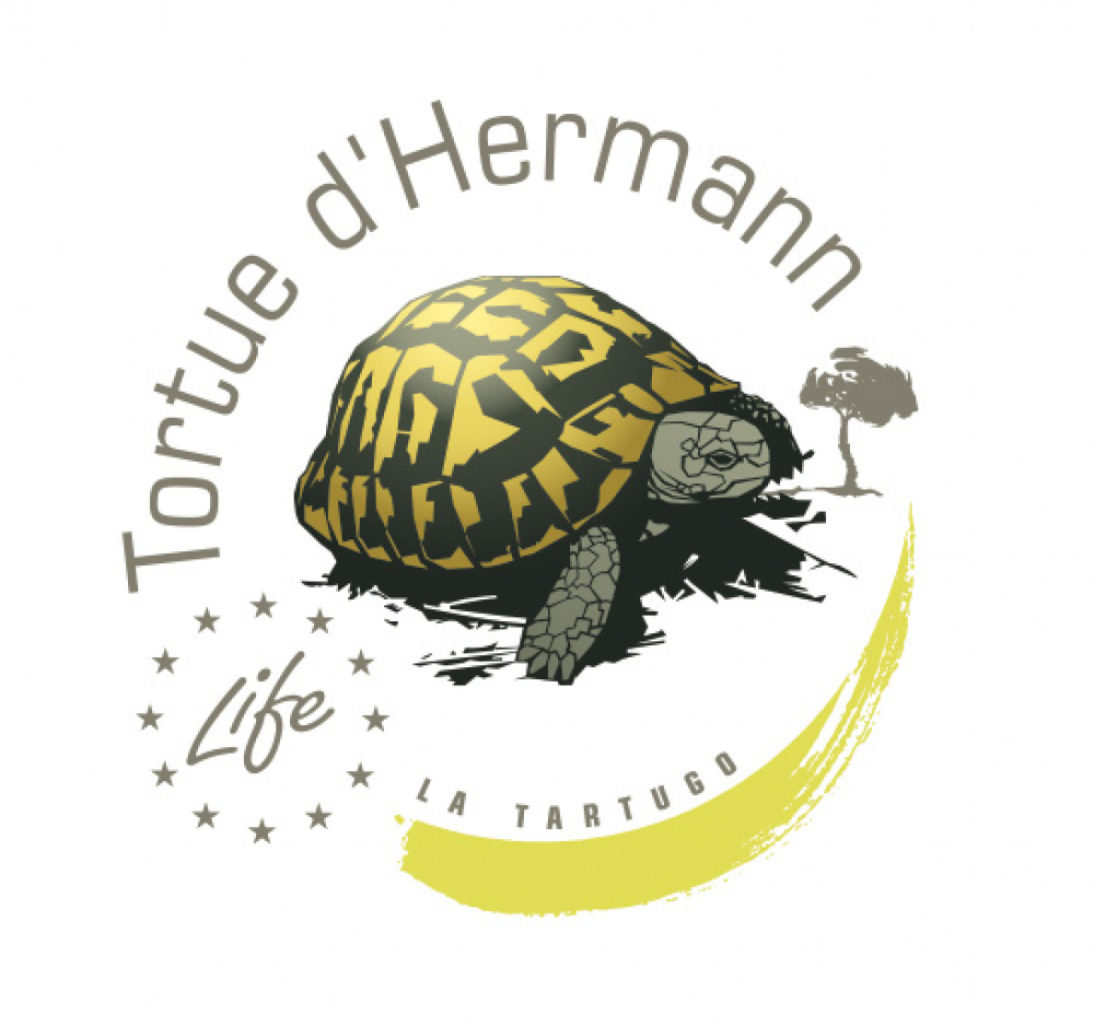 Logo Life+ Tortue d’Hermann