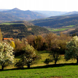 Paysage Alpes-de-Haute-Provence