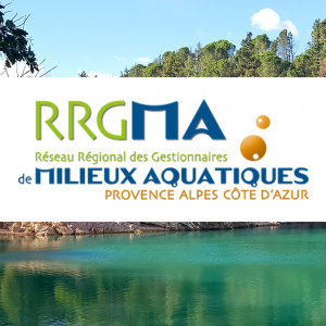 Logo RRGMA