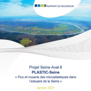 Rapport de recherche : Projet Seine-Aval 6 - PLASTIC-Seine