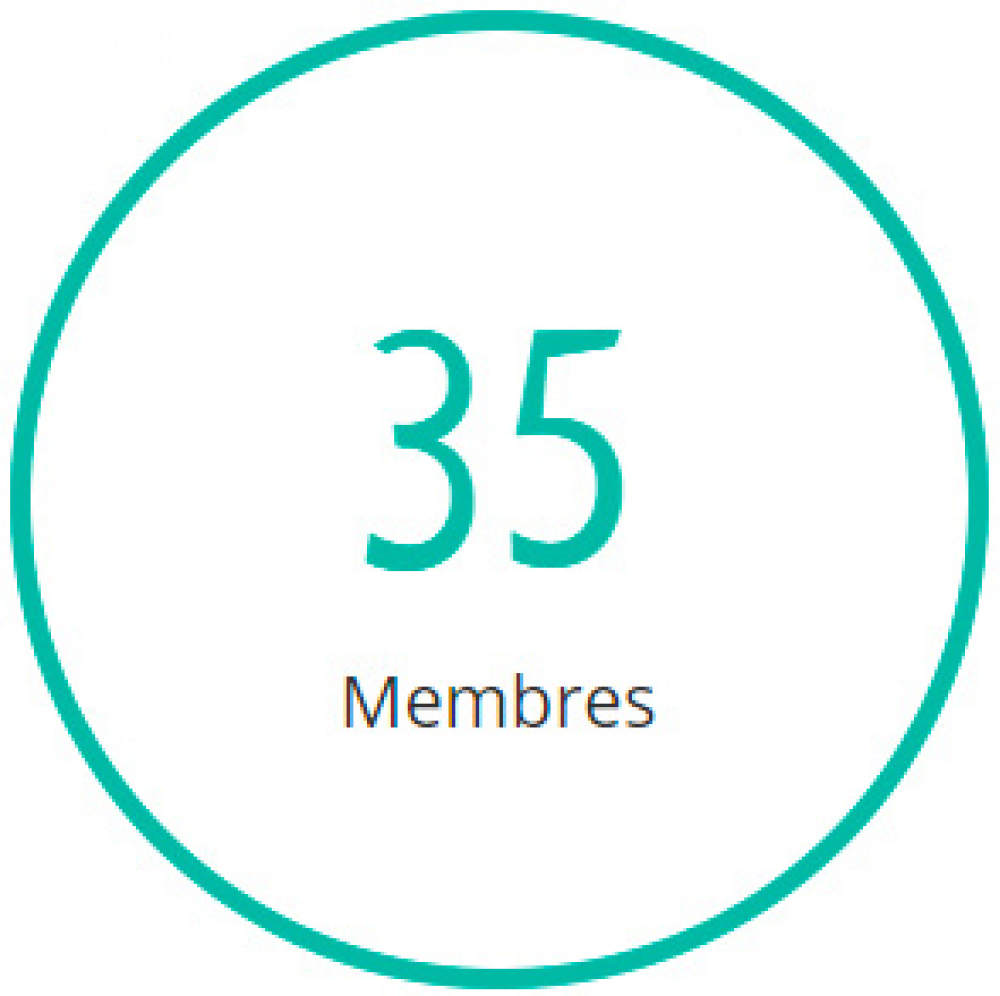 35 membres