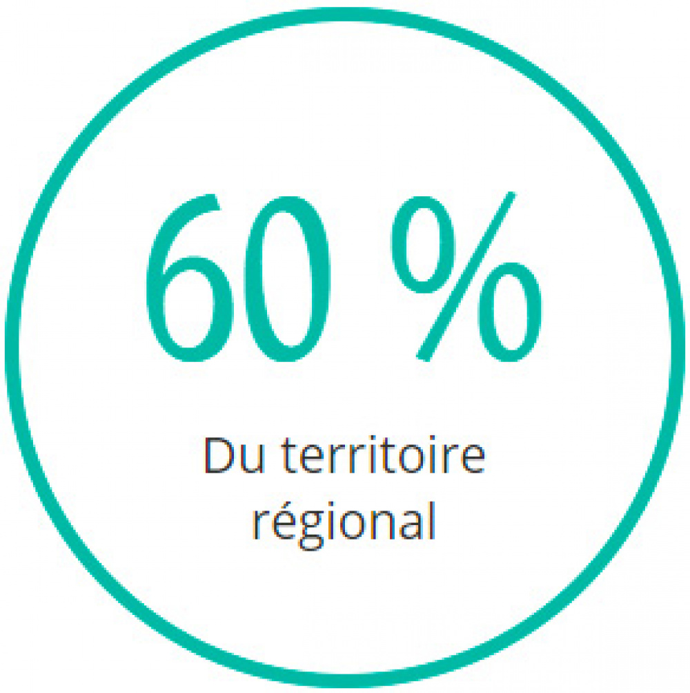 60% du territoire régional