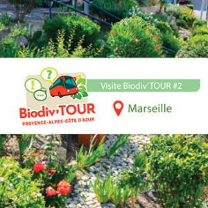 Biodiv'tour Marseille