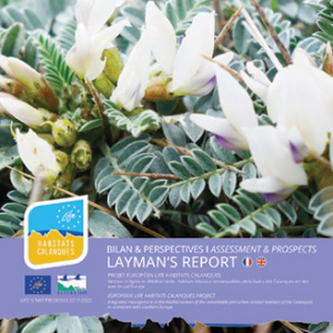 Layman’s Report