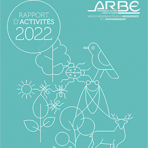 Rapport d’activités 2022