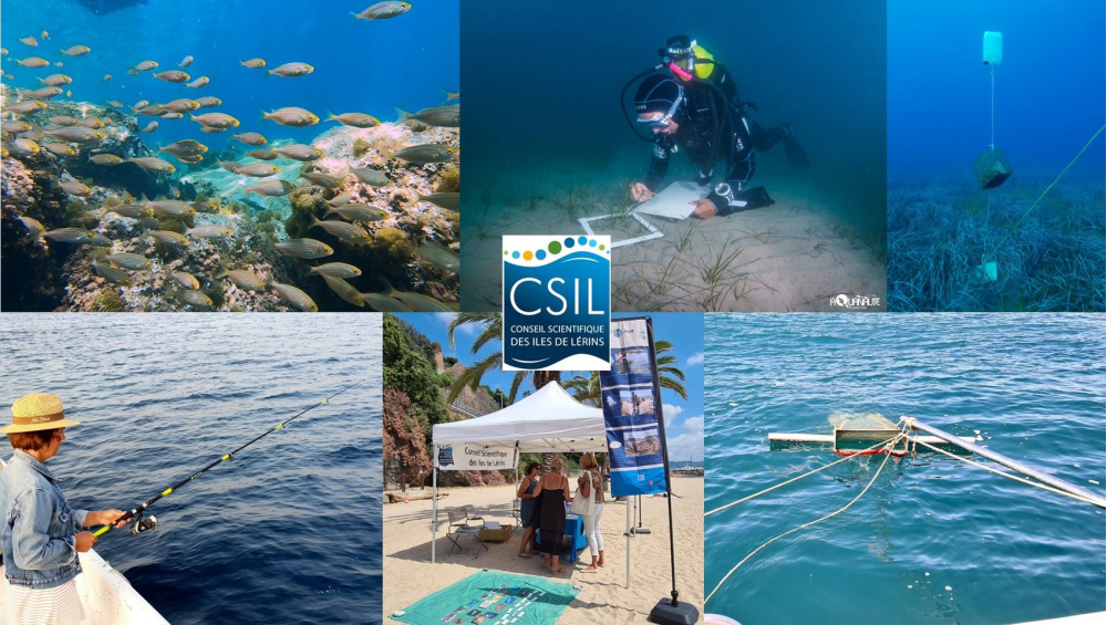 Conseil Scientifique des Îles de Lérins (CSIL)