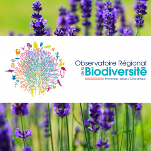 Observatoire Régional de la Biodiversité [ORB]