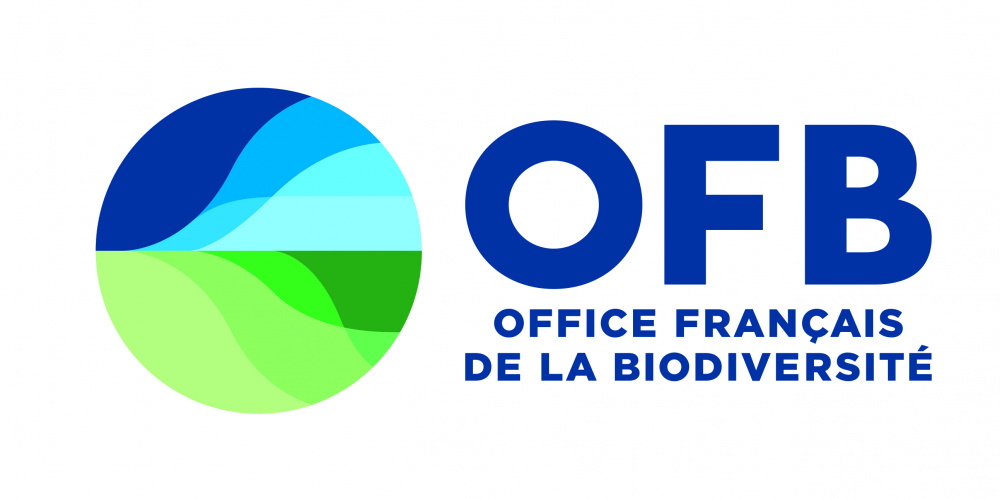 Logo OFB