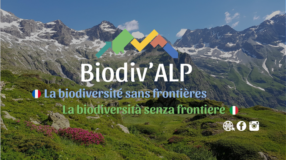 Infographie Biodiv'Alp