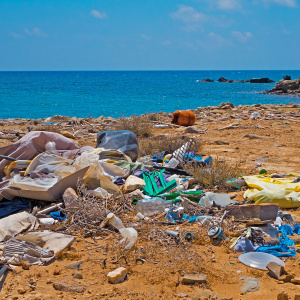 Déchets plastiques sur une plage