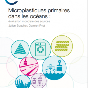 Rapport Microplastiques primaires dans les océans