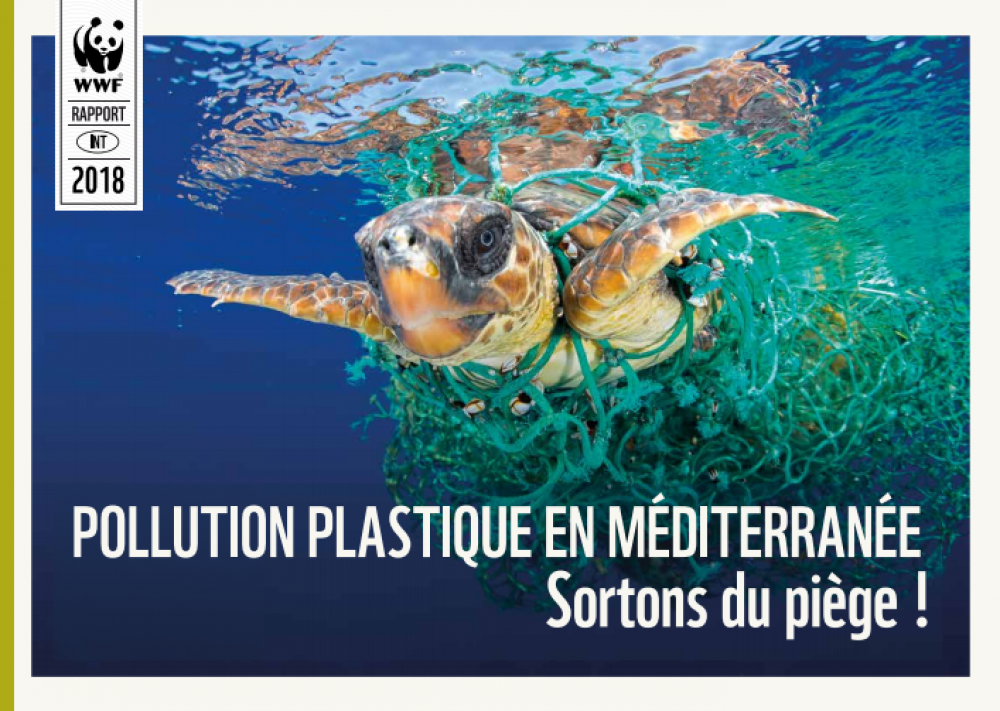 Rapport "Pollution plastique en Méditerranée : sortons du piège"
