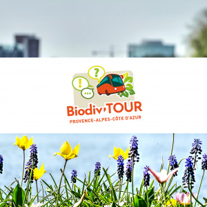 Logo Biodiv’Tour
