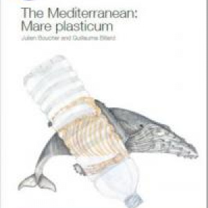 The Mediterranean: Mare Plasticum