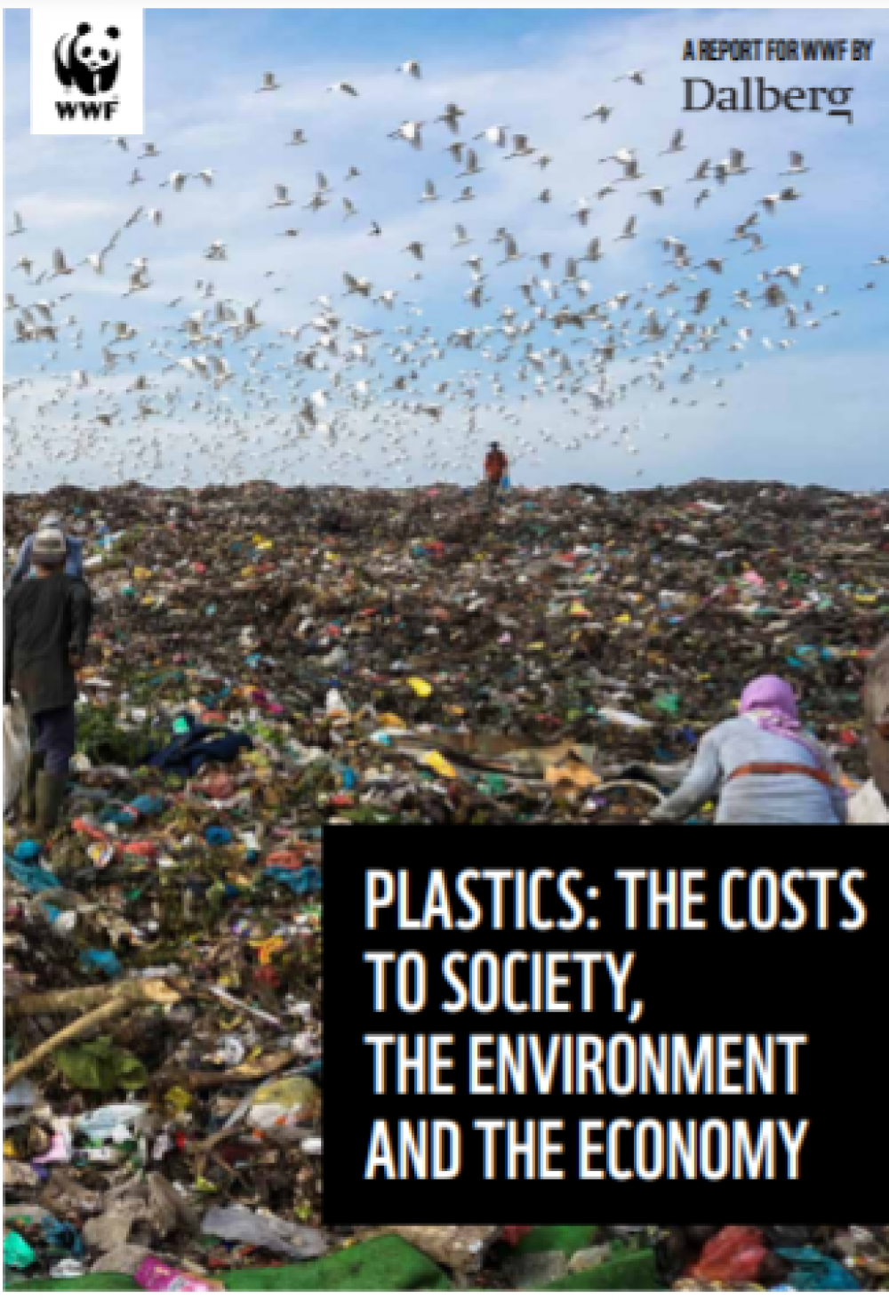 Étude « Plastiques : le coût pour la société, l'environnement et l'économie »