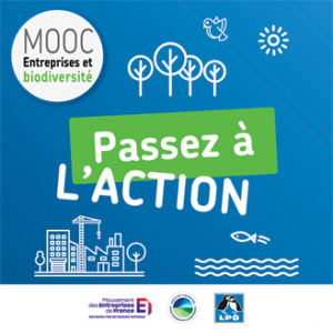 MOOC Passez à l'action