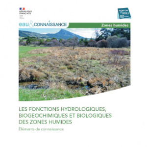 Les fonctions hydrologiques, biogéochimiques et biologiques des zones humides