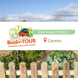Biodiv'tour Cannes