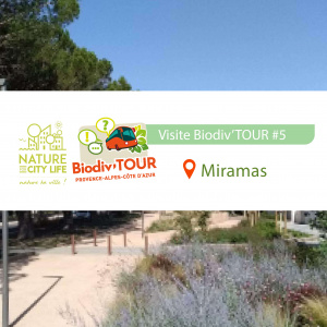 Biodiv'Tour Miramas