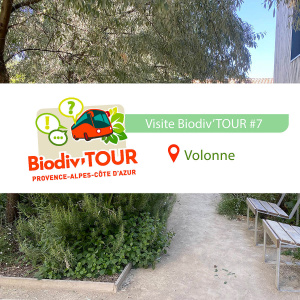 Biodiv'tour Volonne